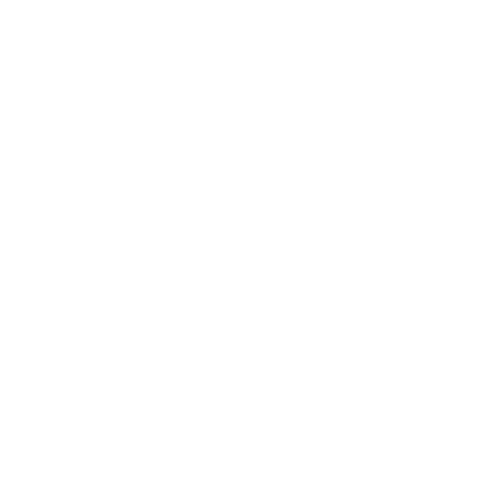Vintage Palm