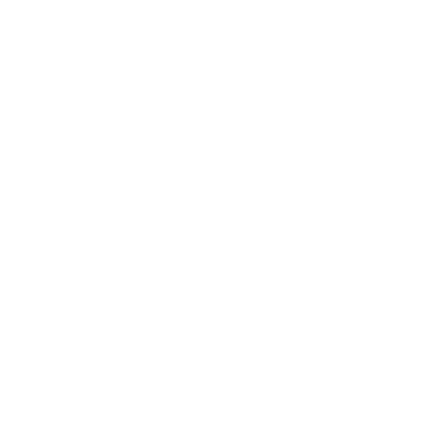 Vintage Palm