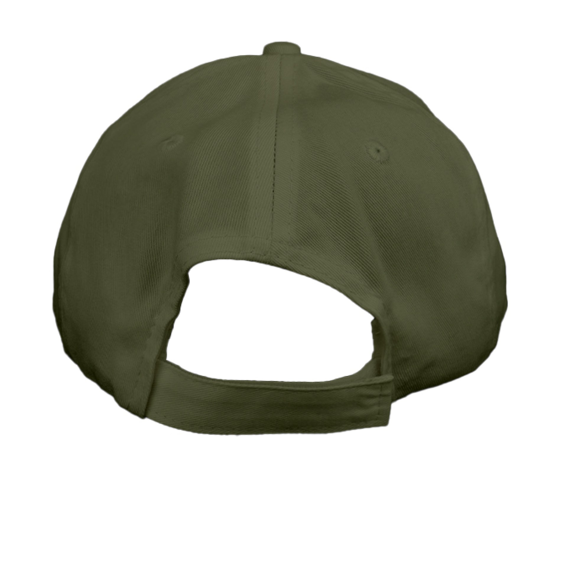 Classic Six-Panel Twill Cap-Vintage Palm