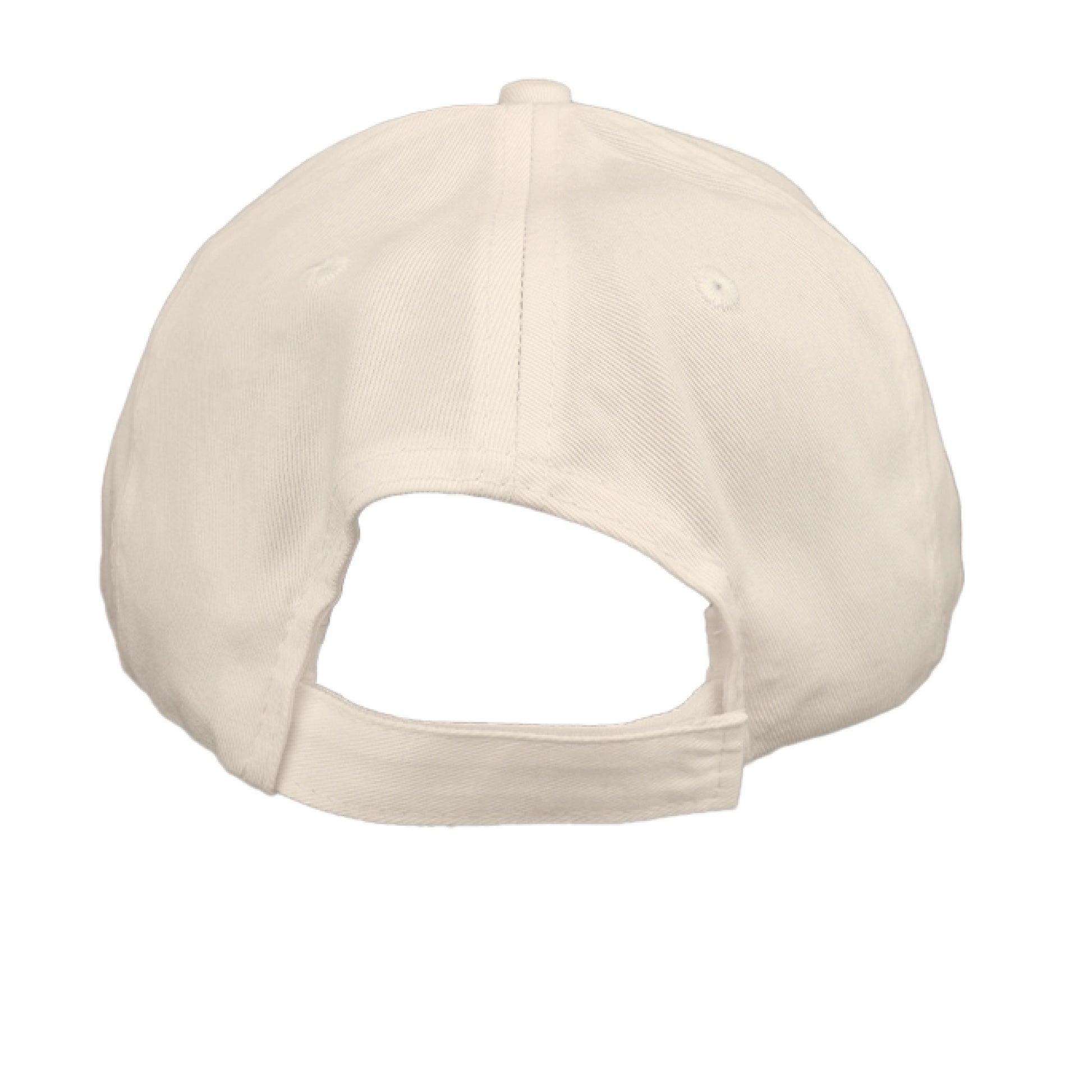 Classic Six-Panel Twill Cap-Vintage Palm